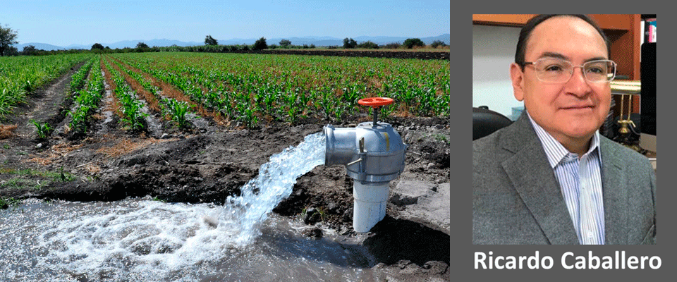 EL SECTOR AGROPECUARIO: MAYOR CONSUMIDOR DE AGUA EN MÉXICO